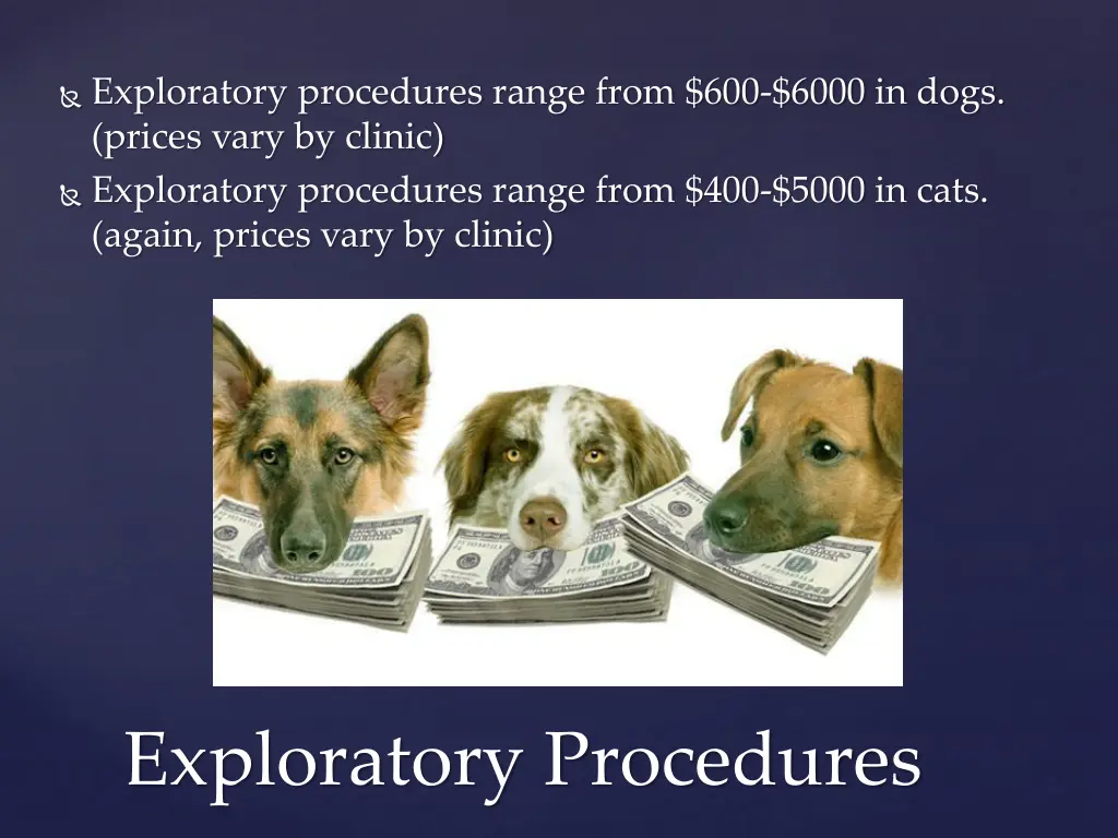 exploratory procedures range from 600 6000