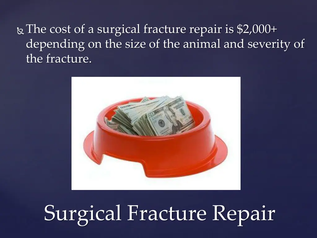 the cost of a surgical fracture repair