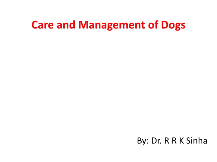 care and management of dogs