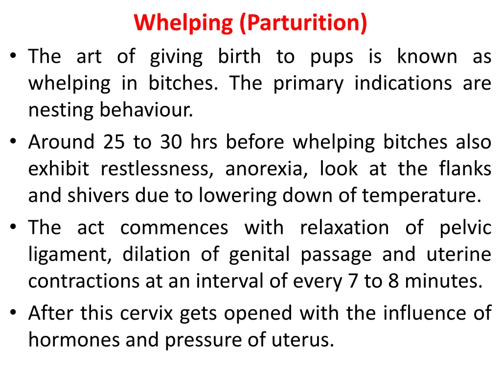 whelping parturition