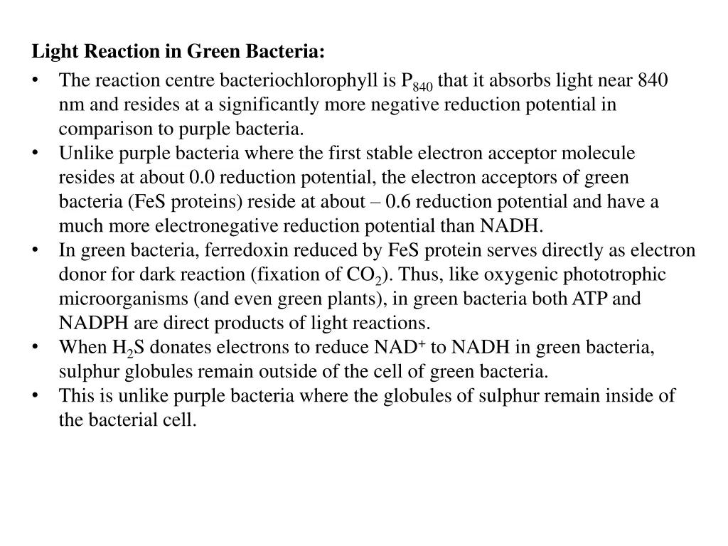 light reaction in green bacteria the reaction