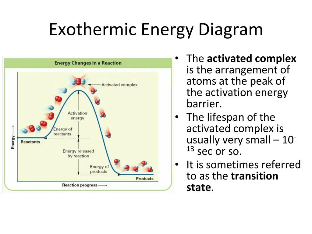 exothermic energy diagram