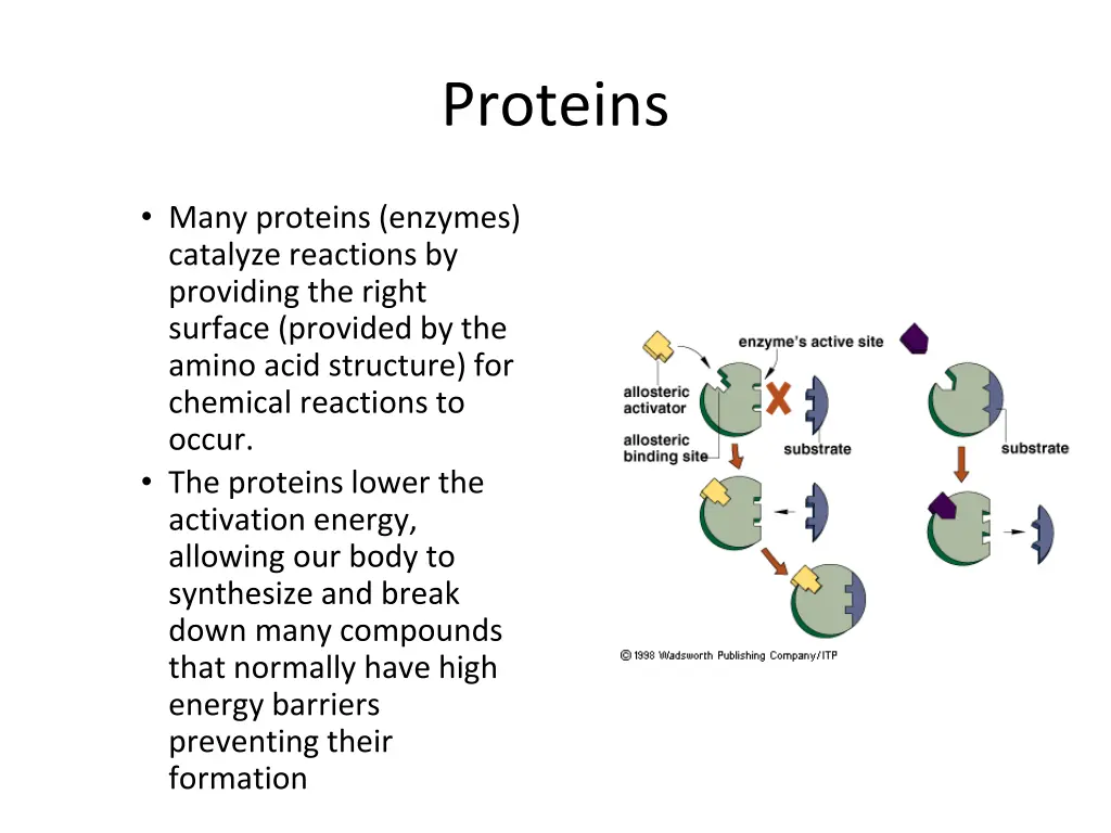 proteins