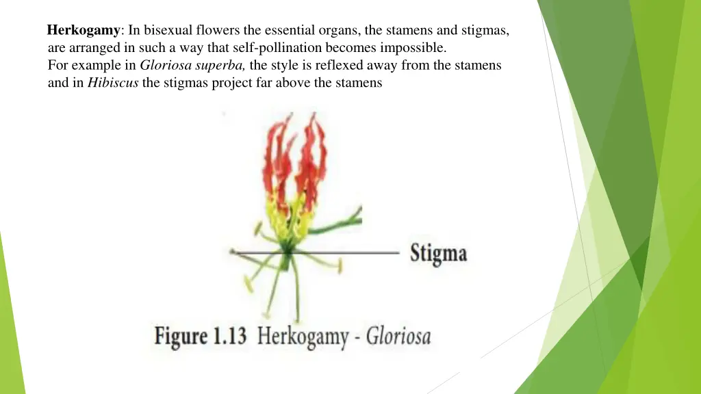 herkogamy in bisexual flowers the essential