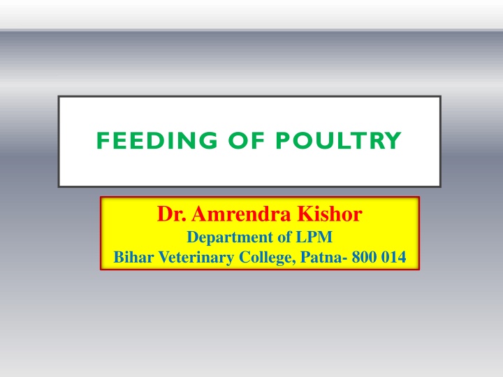 feeding of poultry