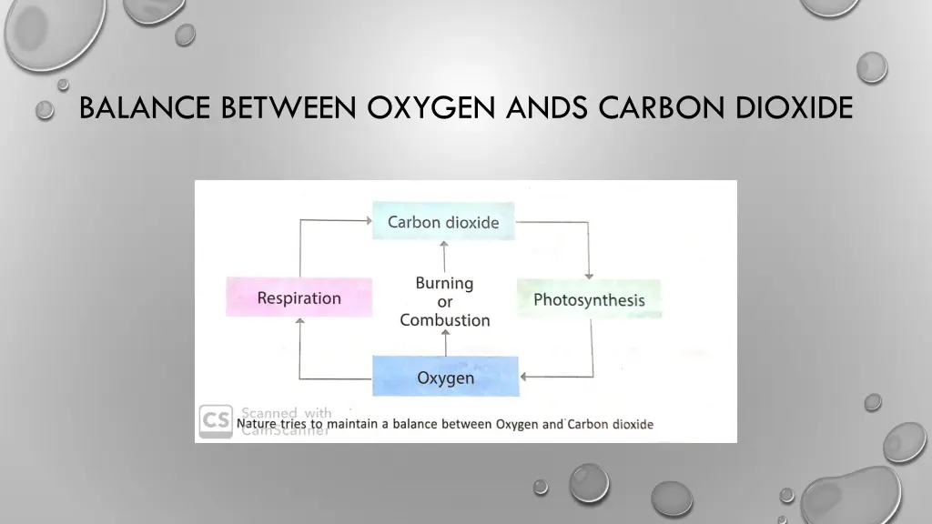 balance between oxygen ands carbon dioxide