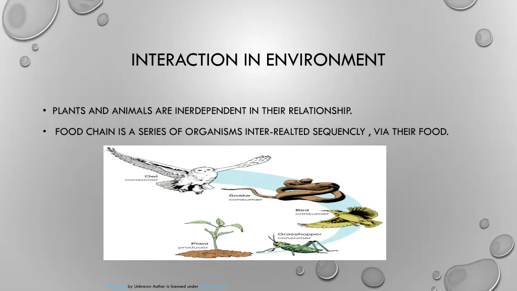 interaction in environment