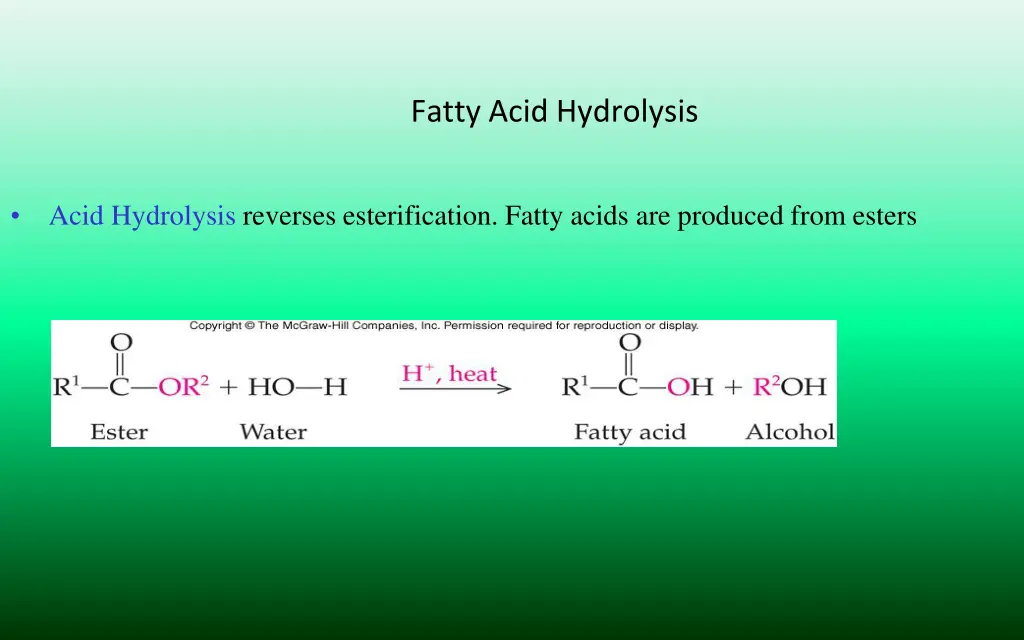 fatty acid hydrolysis