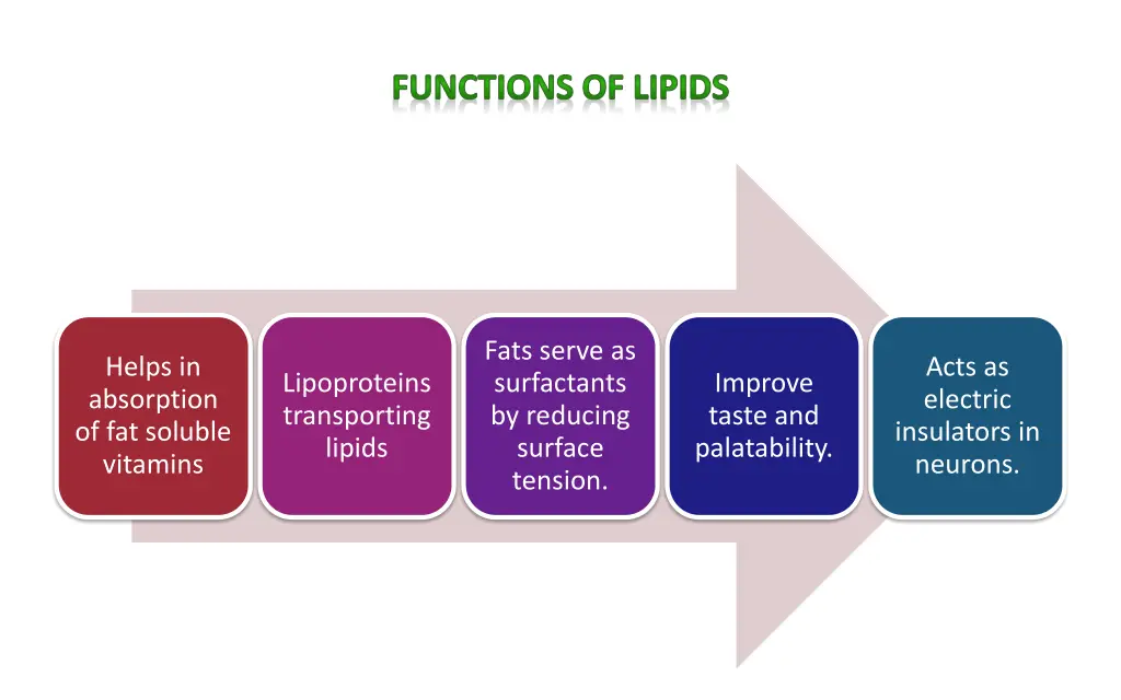 functions of lipids 1