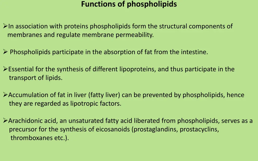 functions of phospholipids