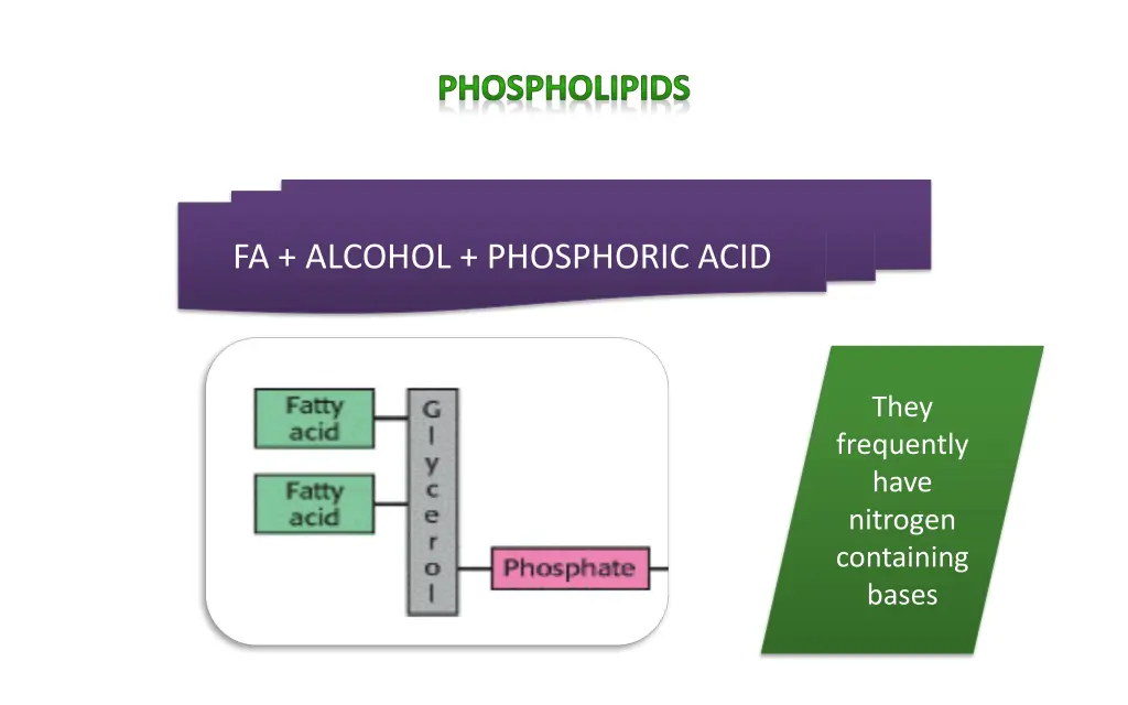 phospholipids