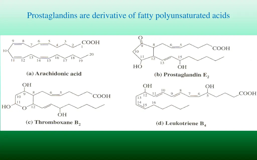 prostaglandins are derivative of fatty