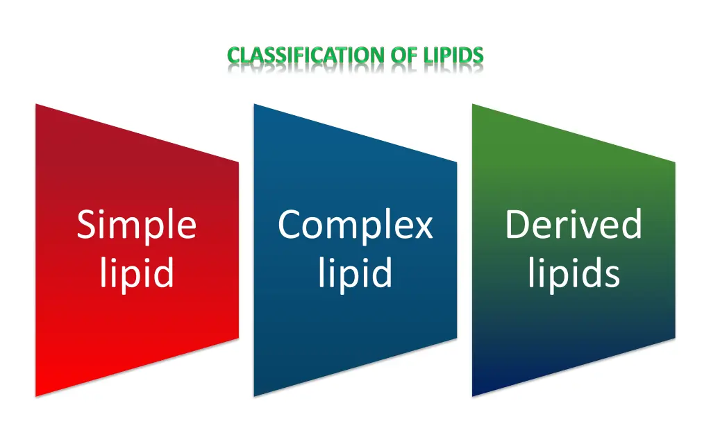 simple lipid