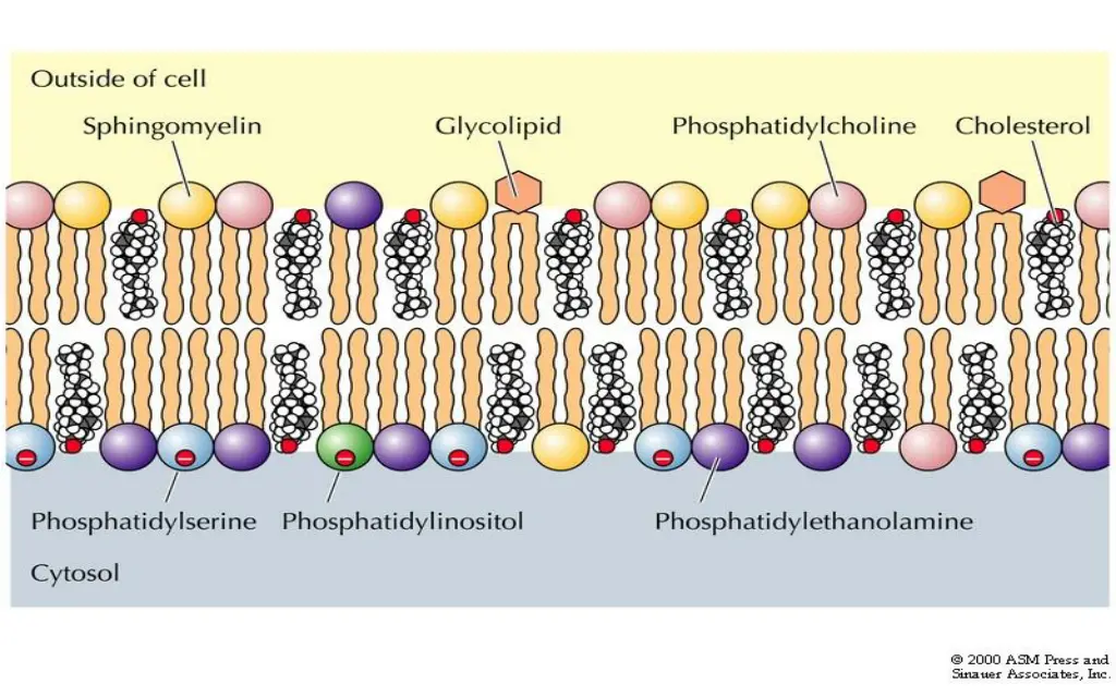 slide20