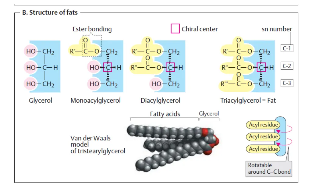 slide7