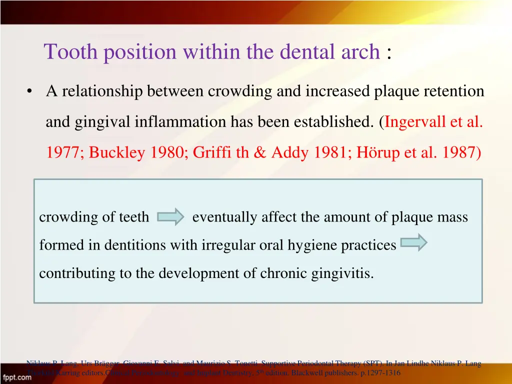 tooth position within the dental arch