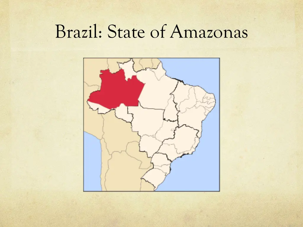 brazil state of amazonas