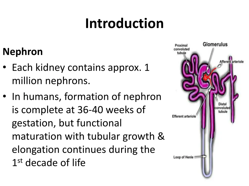 introduction 1