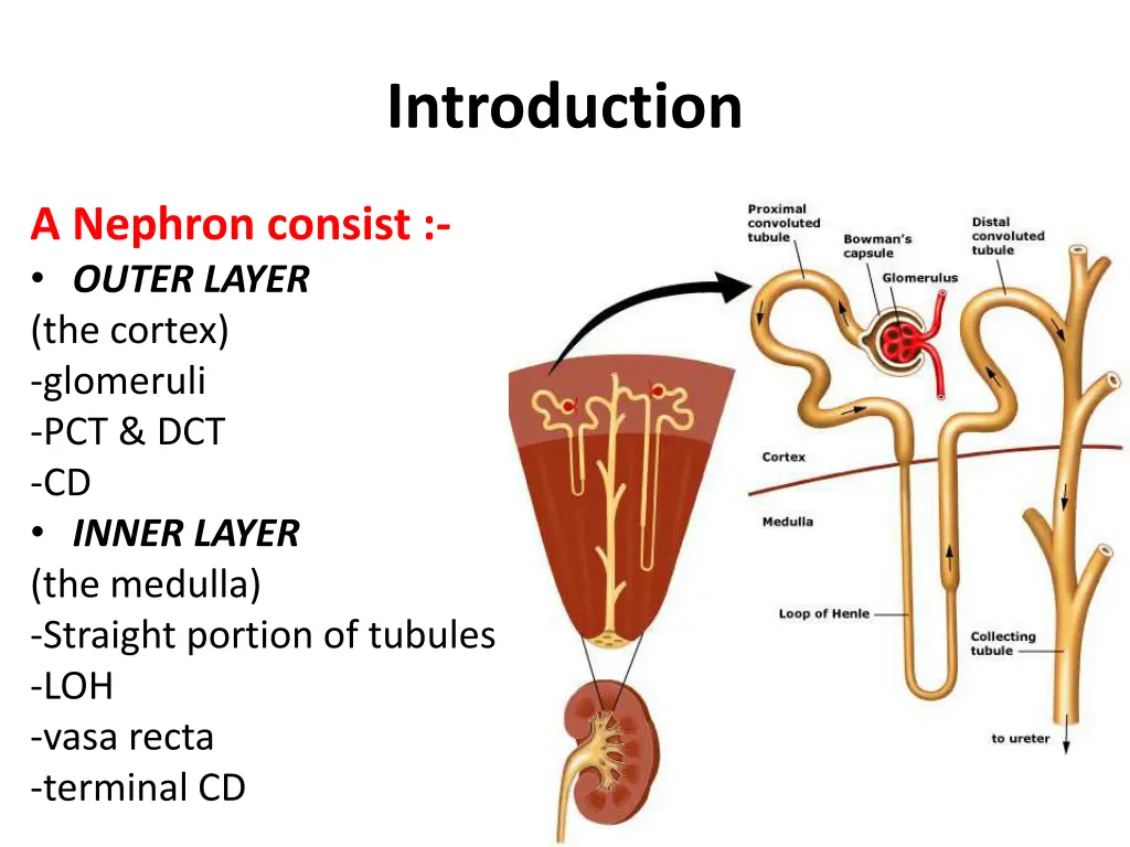 introduction 3