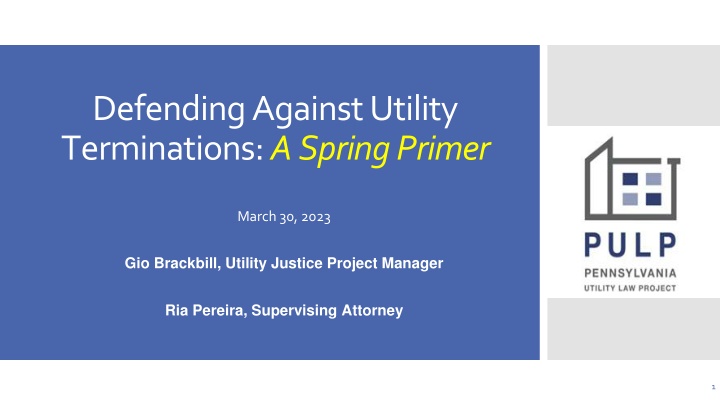 defending against utility terminations a spring