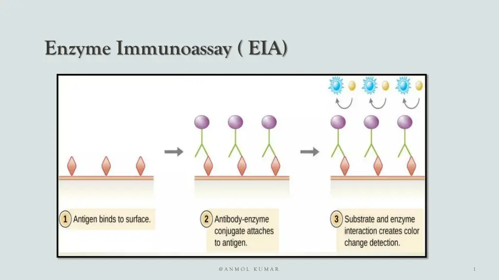 enzyme immunoassay eia 1