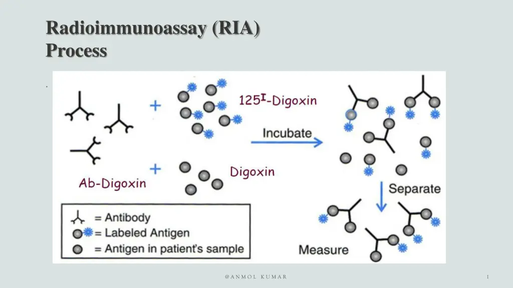 radioimmunoassay ria process