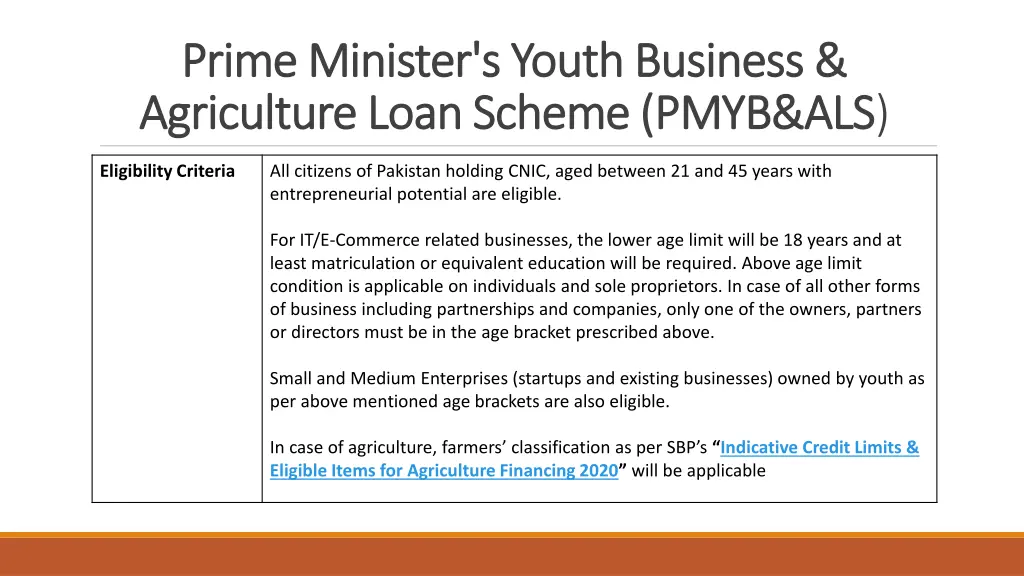 prime minister s youth business prime minister 1