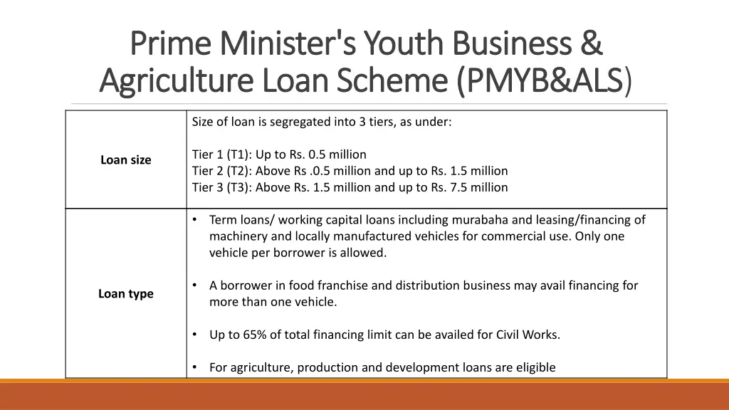 prime minister s youth business prime minister 2