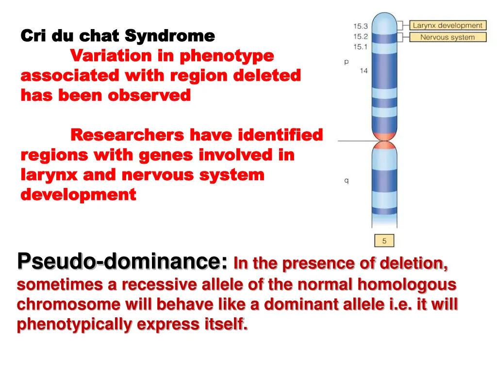 cri du chat syndrome cri du chat syndrome