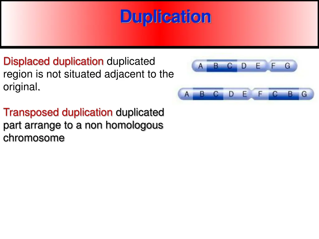 duplication 2