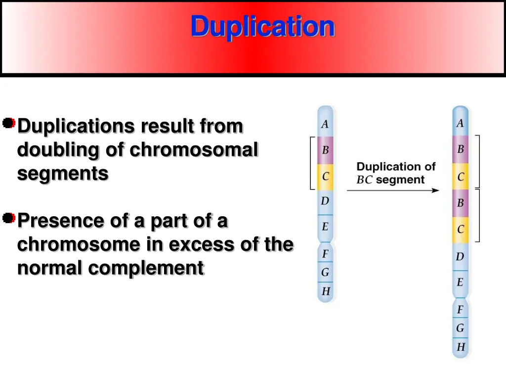 duplication