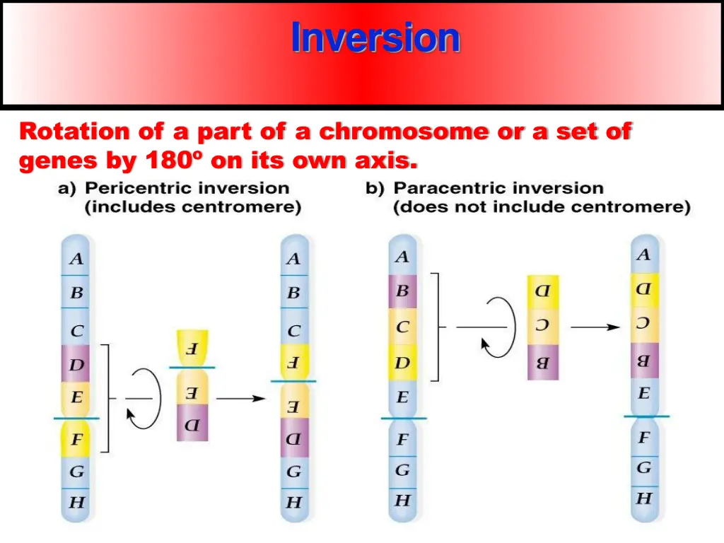 inversion