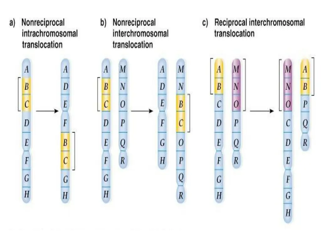 slide23