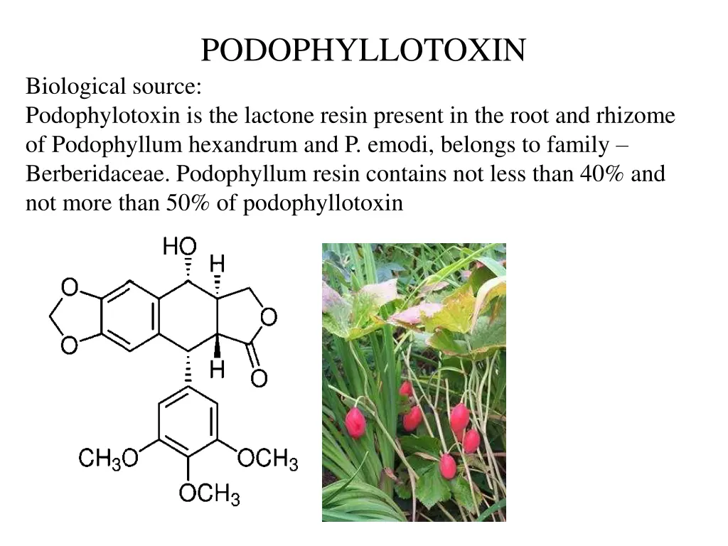 podophyllotoxin