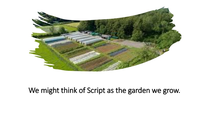 we might think of script as the garden we grow