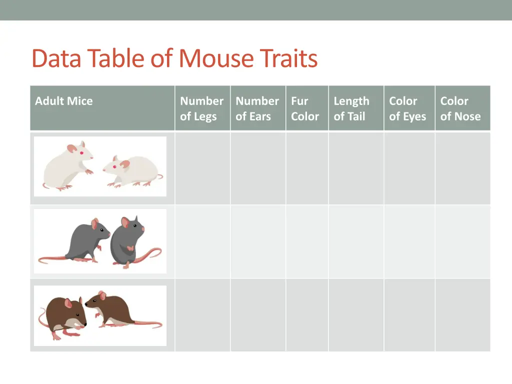 data table of mouse traits