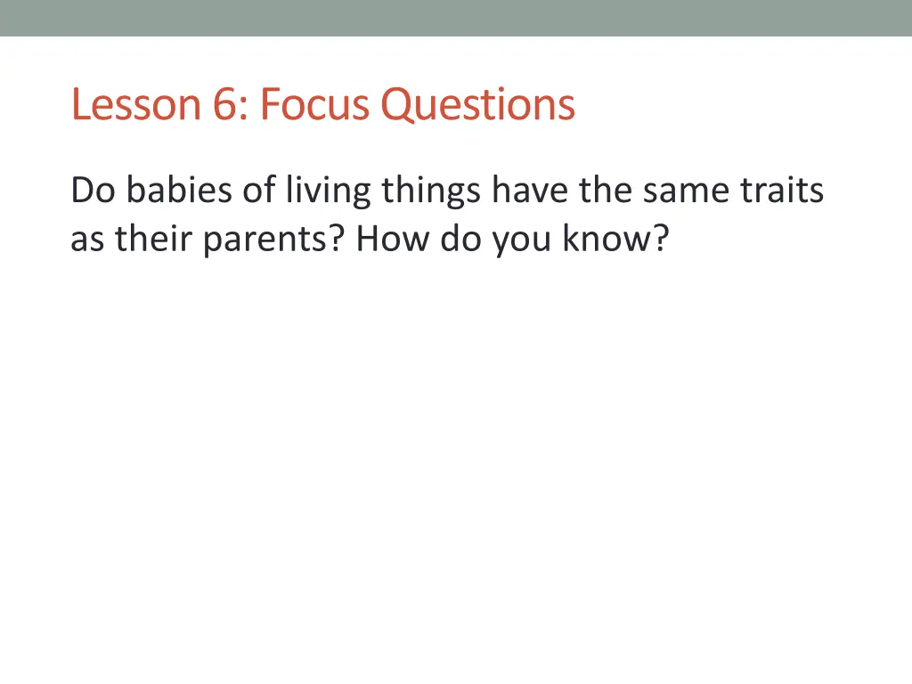 lesson 6 focus questions