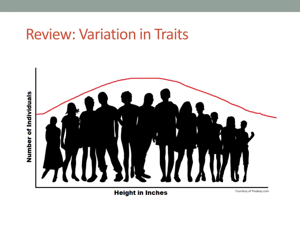 review variation in traits