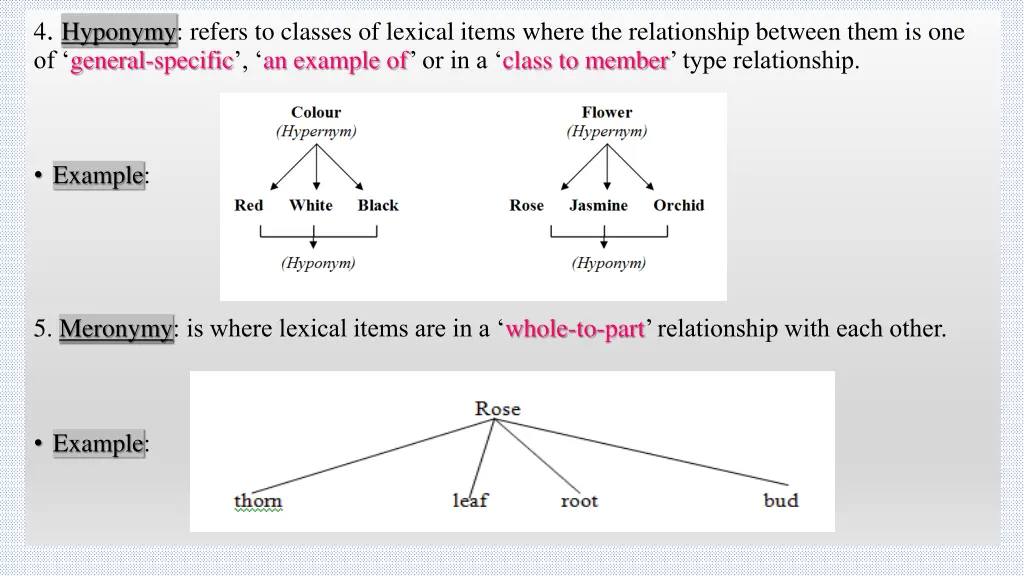 4 hyponymy refers to classes of lexical items