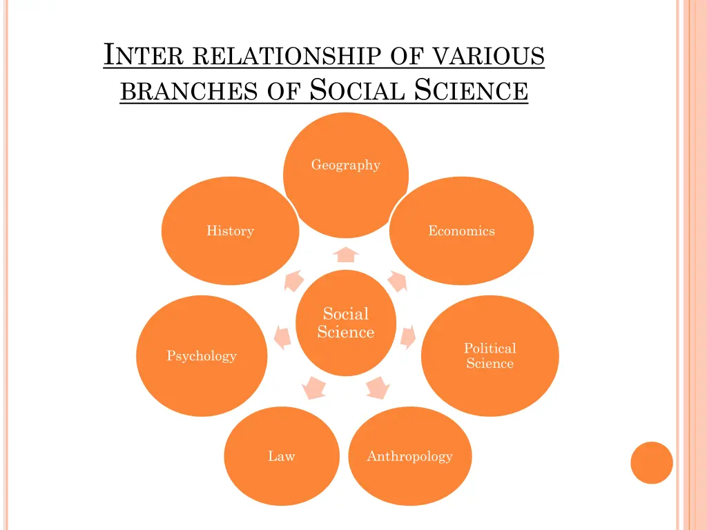 i nter relationship of various branches