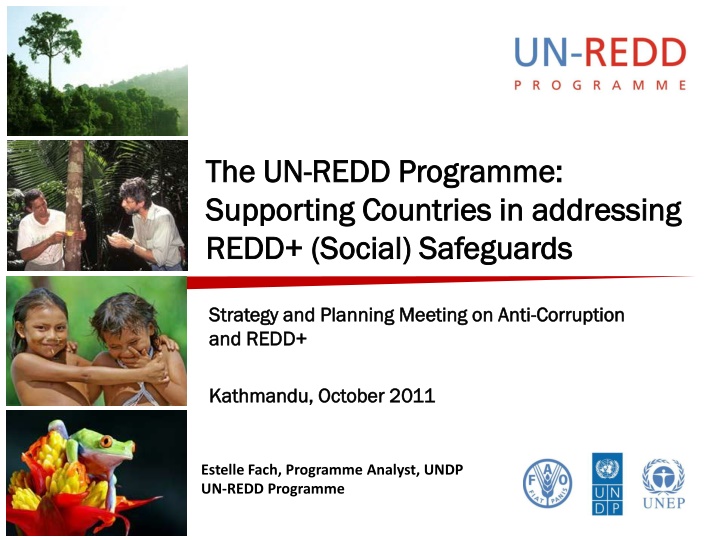 the un the un redd programme redd programme