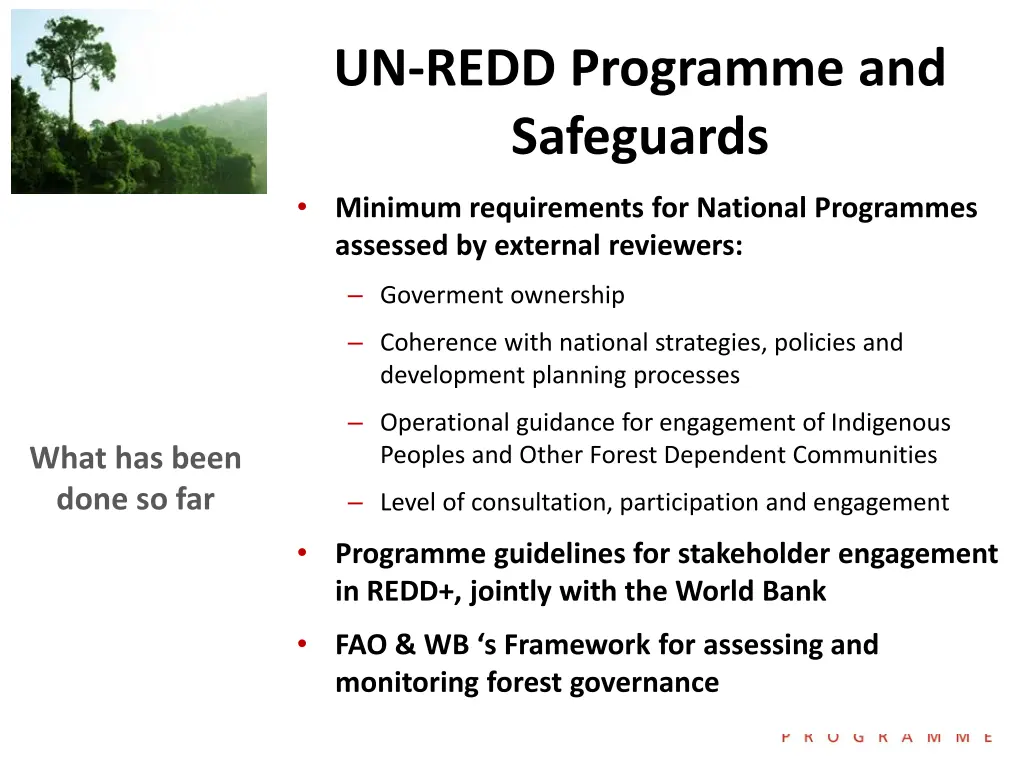 un redd programme and safeguards 1