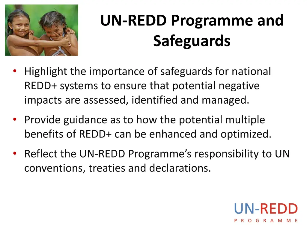 un redd programme and safeguards