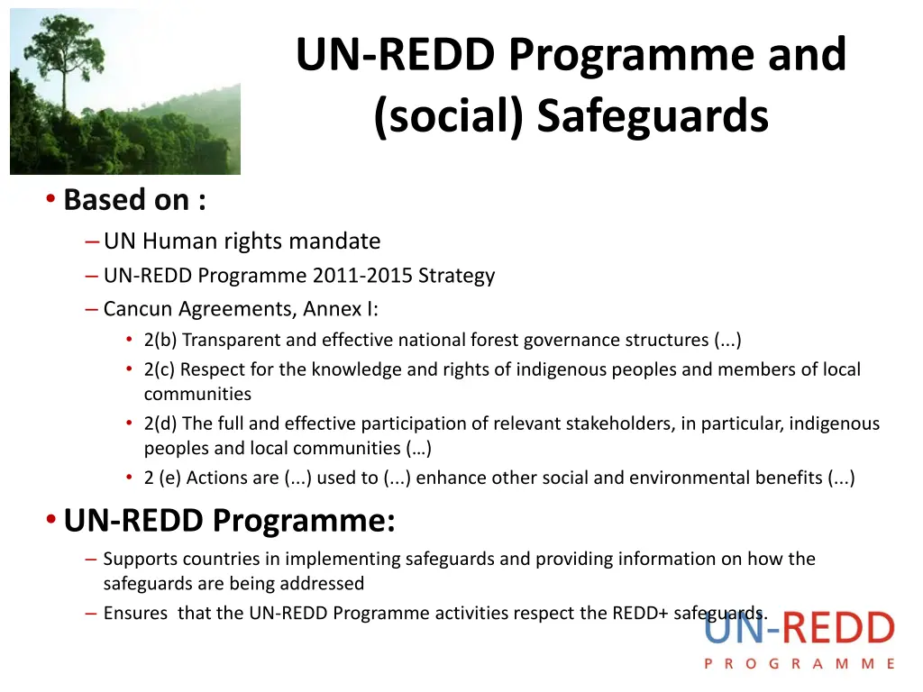 un redd programme and social safeguards