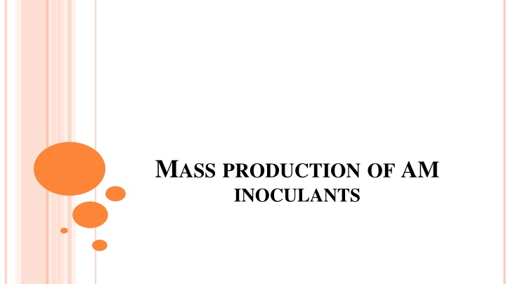 m ass production of am inoculants