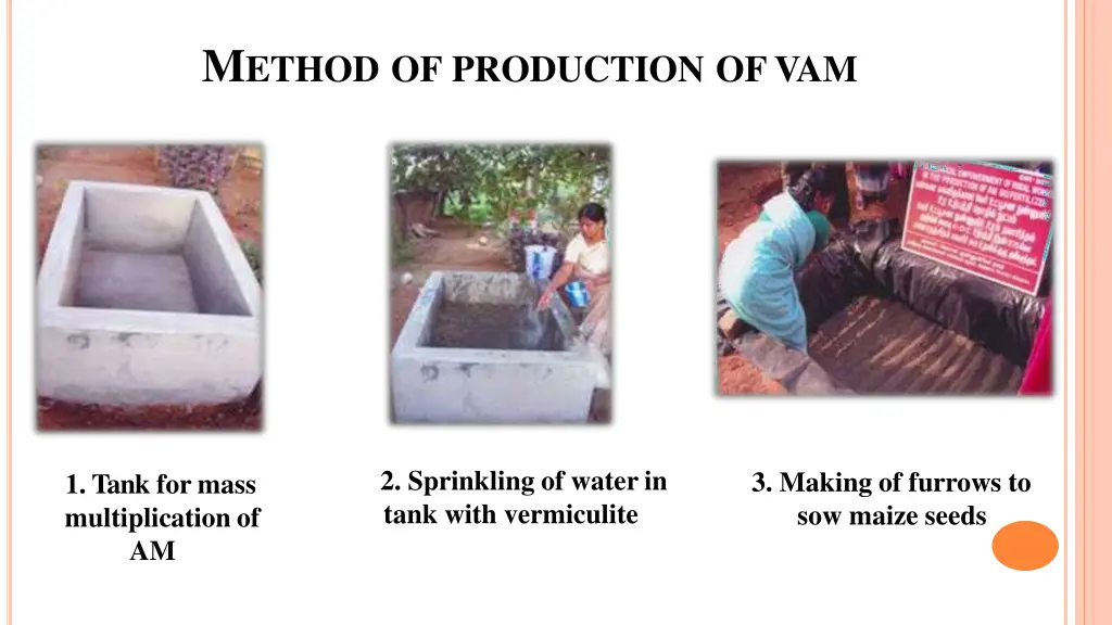 m ethod of production of vam