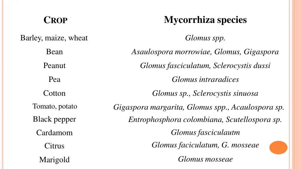 mycorrhiza species