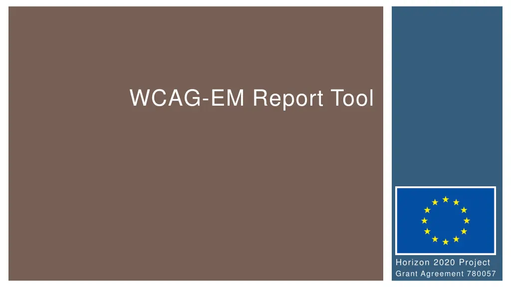 wcag em report tool