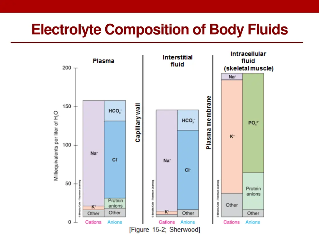 electrolyte composition of body fluids