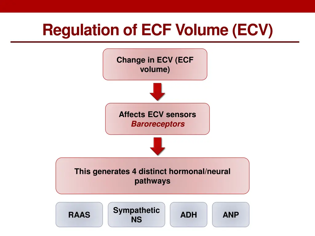 regulation of ecf volume ecv 1